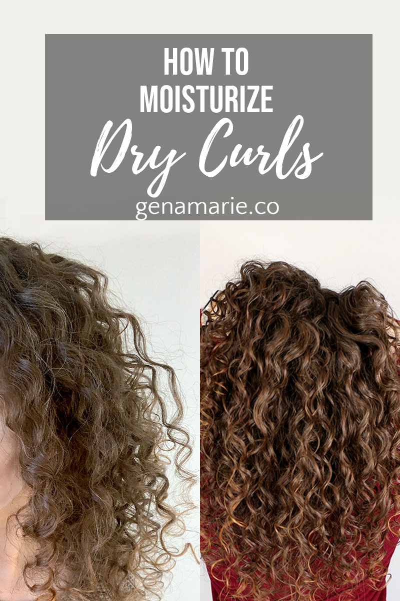 How to Moisturize Dry Curls & Refresh ft. TreLuxe BLACK FRIDAY SALE - Gena  Marie